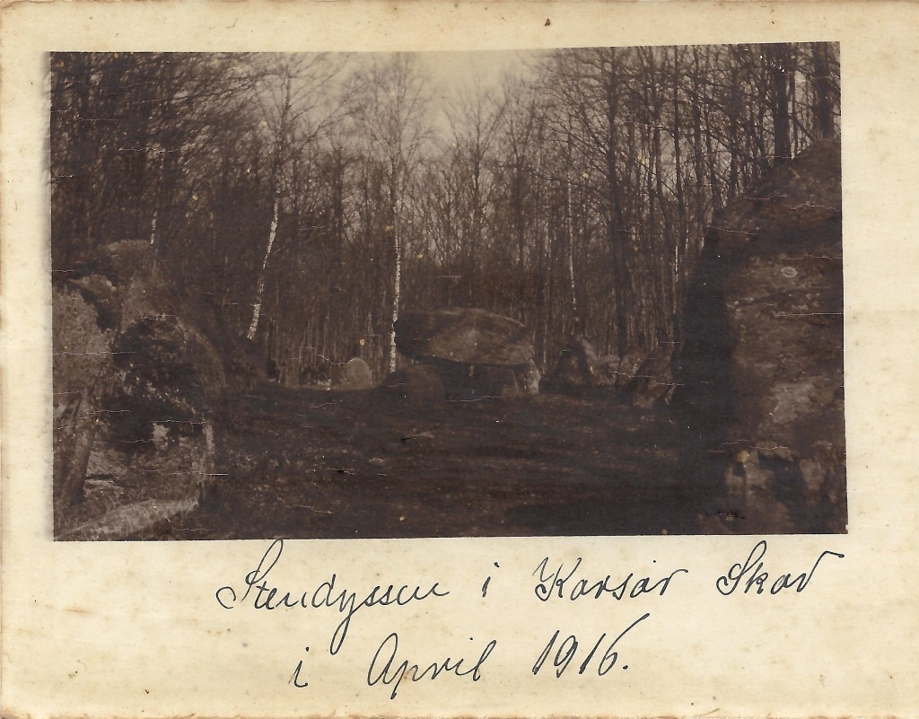 Korsør Skov April 1916